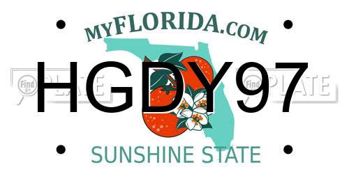 HGDY97 Florida License Plate