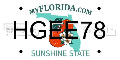 HGEE78 Florida License Plate