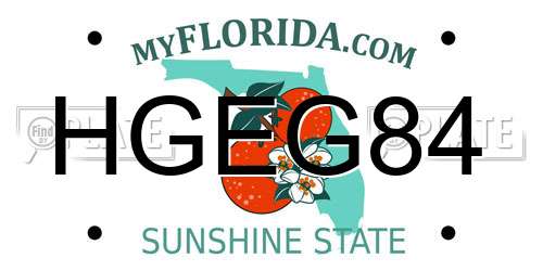 HGEG84 Florida License Plate
