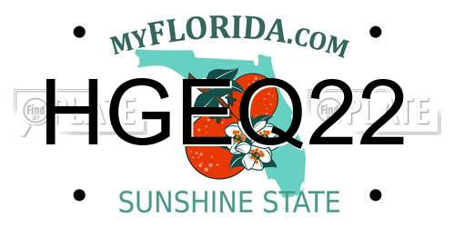 HGEQ22 Florida License Plate
