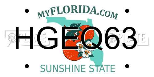 HGEQ63 Florida License Plate