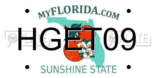 HGET09 Florida License Plate