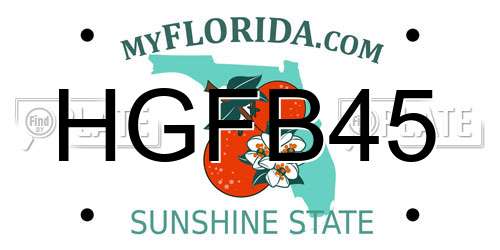 HGFB45 Florida License Plate
