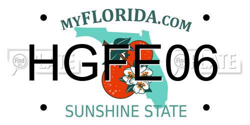 HGFE06 Florida License Plate