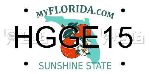 HGGE15 Florida License Plate