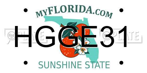 HGGE31 Florida License Plate