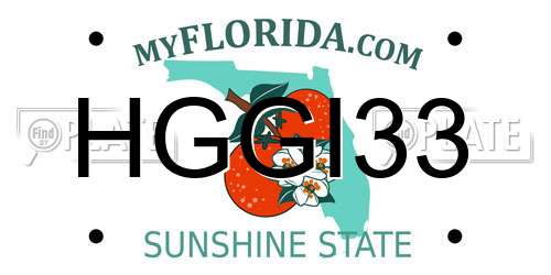 HGGI33 Florida License Plate