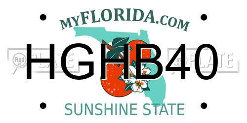 HGHB40 Florida License Plate