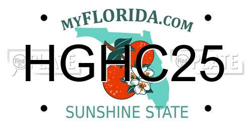 HGHC25 Florida License Plate