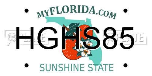 HGHS85 Florida License Plate