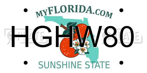 HGHW80 Florida License Plate