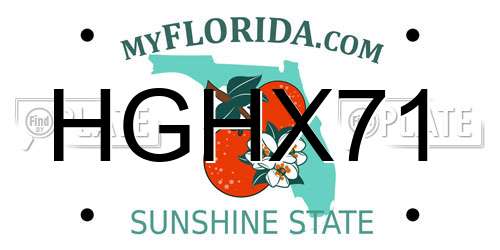 HGHX71 Florida License Plate