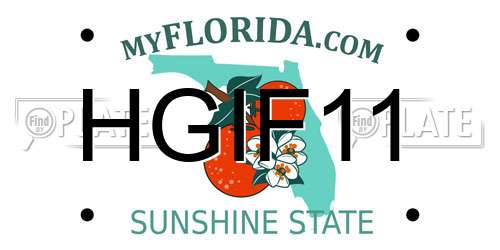 HGIF11 Florida License Plate