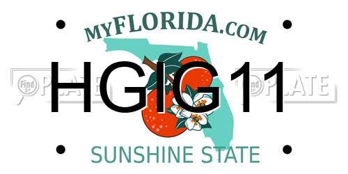 HGIG11 Florida License Plate