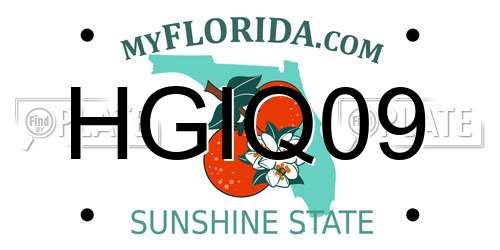 HGIQ09 Florida License Plate