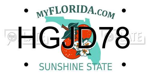 HGJD78 Florida License Plate
