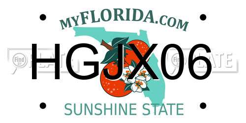 HGJX06 Florida License Plate