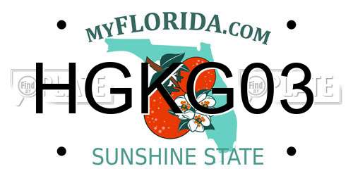 HGKG03 Florida License Plate