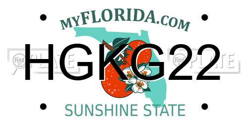HGKG22 Florida License Plate