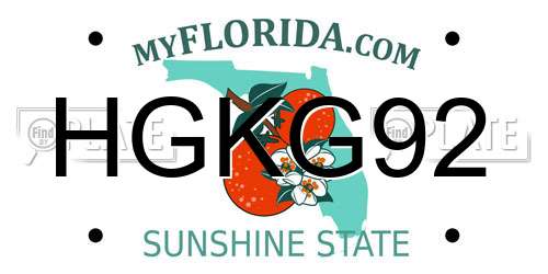 HGKG92 Florida License Plate