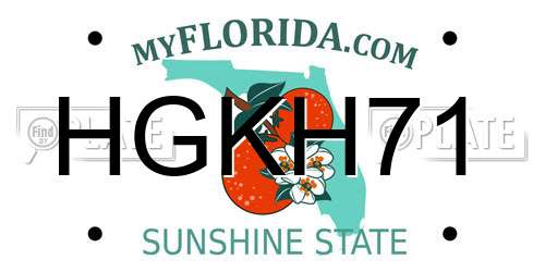 HGKH71 Florida License Plate