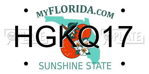 HGKQ17 Florida License Plate