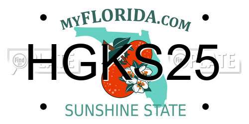 HGKS25 Florida License Plate