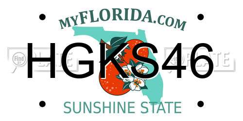 HGKS46 Florida License Plate