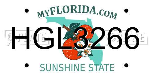 HGL3266 Florida License Plate