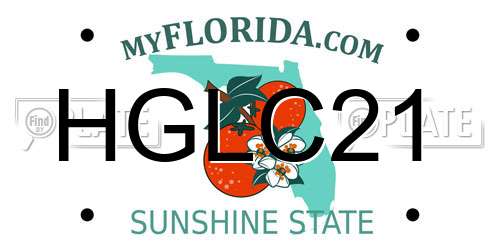 HGLC21 Florida License Plate