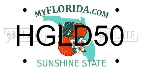 HGLD50 Florida License Plate