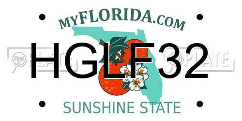 HGLF32 Florida License Plate