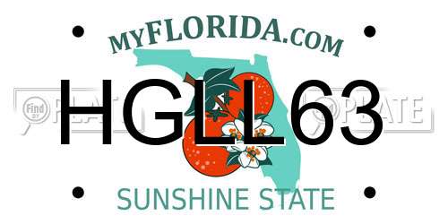 HGLL63 Florida License Plate