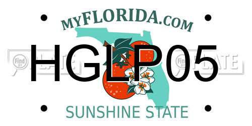 HGLP05 Florida License Plate