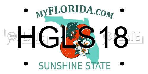 HGLS18 Florida License Plate