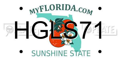 HGLS71 Florida License Plate
