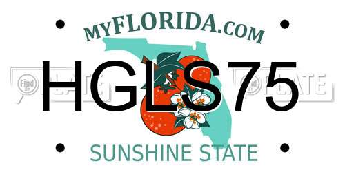 HGLS75 Florida License Plate