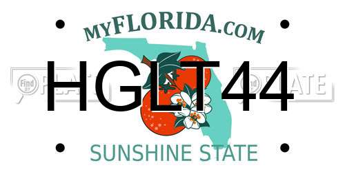 HGLT44 Florida License Plate
