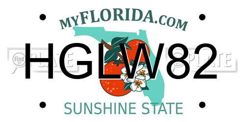 HGLW82 Florida License Plate