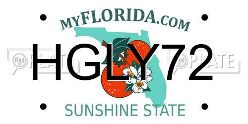 HGLY72 Florida License Plate