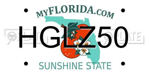 HGLZ50 Florida License Plate