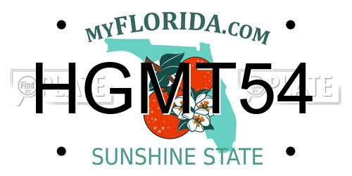 HGMT54 Florida License Plate