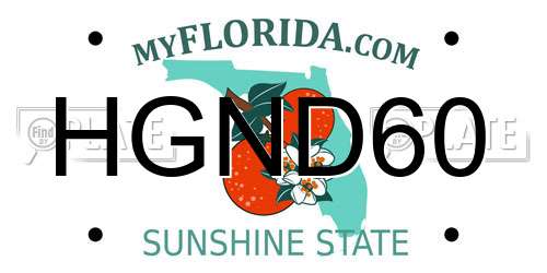 HGND60 Florida License Plate