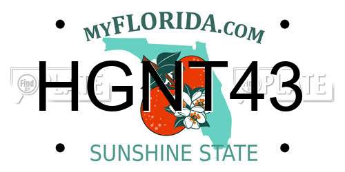 HGNT43 Florida License Plate