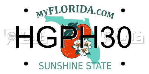 HGPH30 Florida License Plate