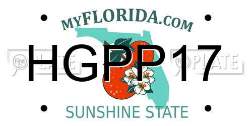 HGPP17 Florida License Plate