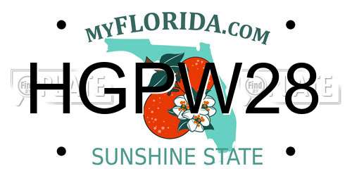 HGPW28 Florida License Plate