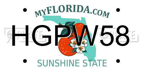 HGPW58 Florida License Plate