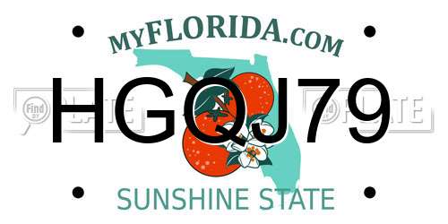 HGQJ79 Florida License Plate