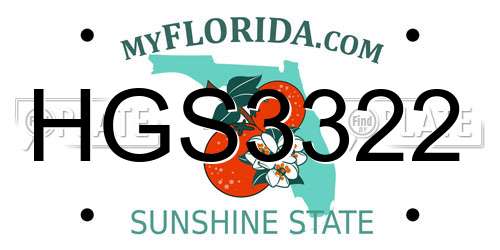 HGS3322 Florida License Plate